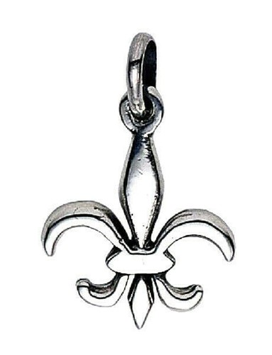 Fleur lis lilie - fleur,